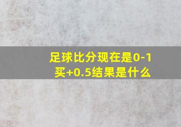 足球比分现在是0-1 买+0.5结果是什么